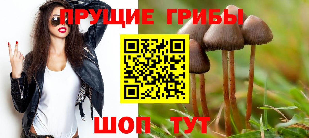 Псилоцибиновые грибы мицелий  Вход с VPN  где можно купить   Кизляр 